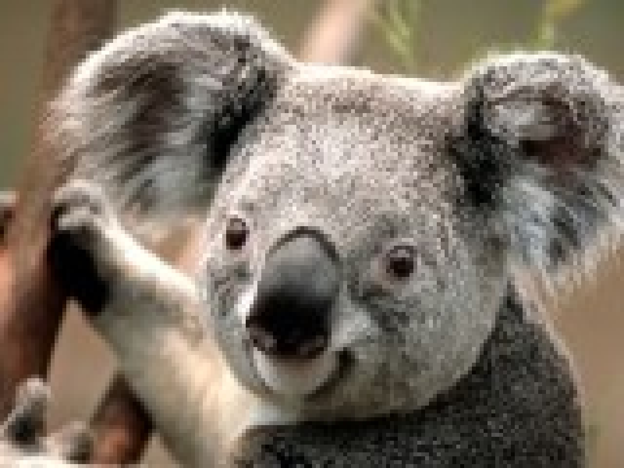 7a0c01042902886bc4289fe429c727c4_large Alben - Martin18 - wunschradio.fm | Musikwunsch kostenlos im Radio