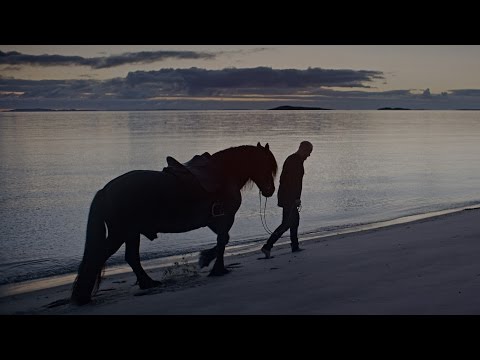 704b27084030f0e97ce3ce3e5953e9e5 Wardruna - Raido - (2016) - wunschradio.fm | Musikwunsch kostenlos im Radio